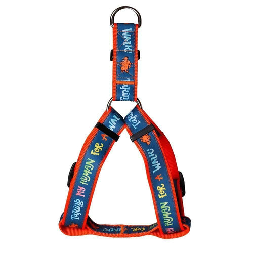 Collars & Leashes - Taking My Humans Harness